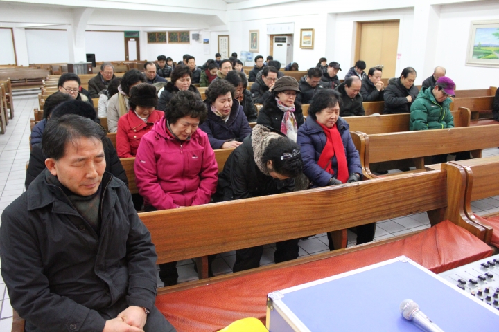 gd_f39157_IMG_6722.JPG