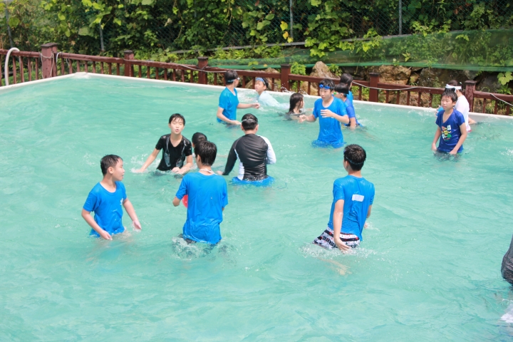 gd_f77502_IMG_2476.JPG