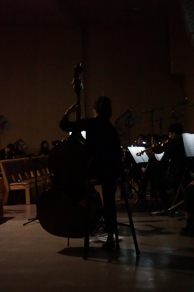 DSC08008.jpg