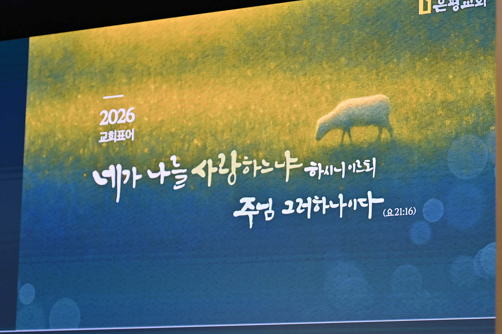 2025 송구영신예배_0188.jpg