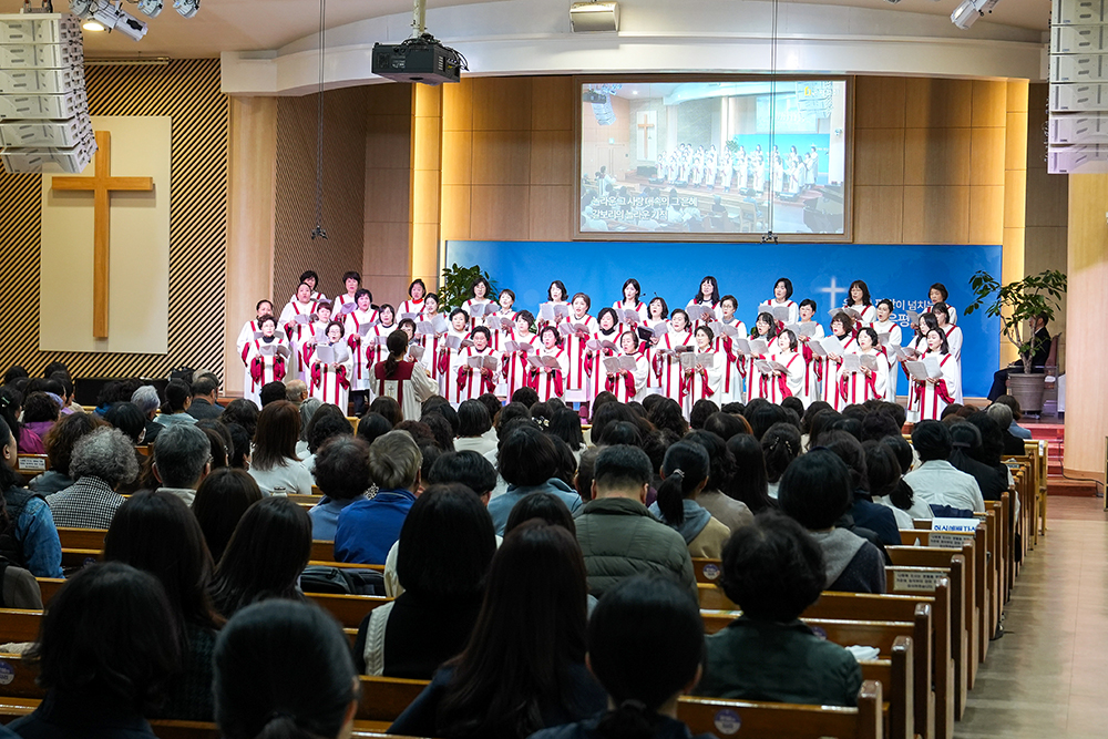 20250416-45.jpg