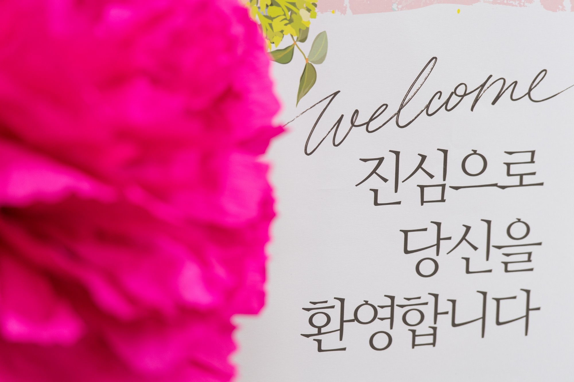 KUM_1287-13사이즈줄인것.jpg