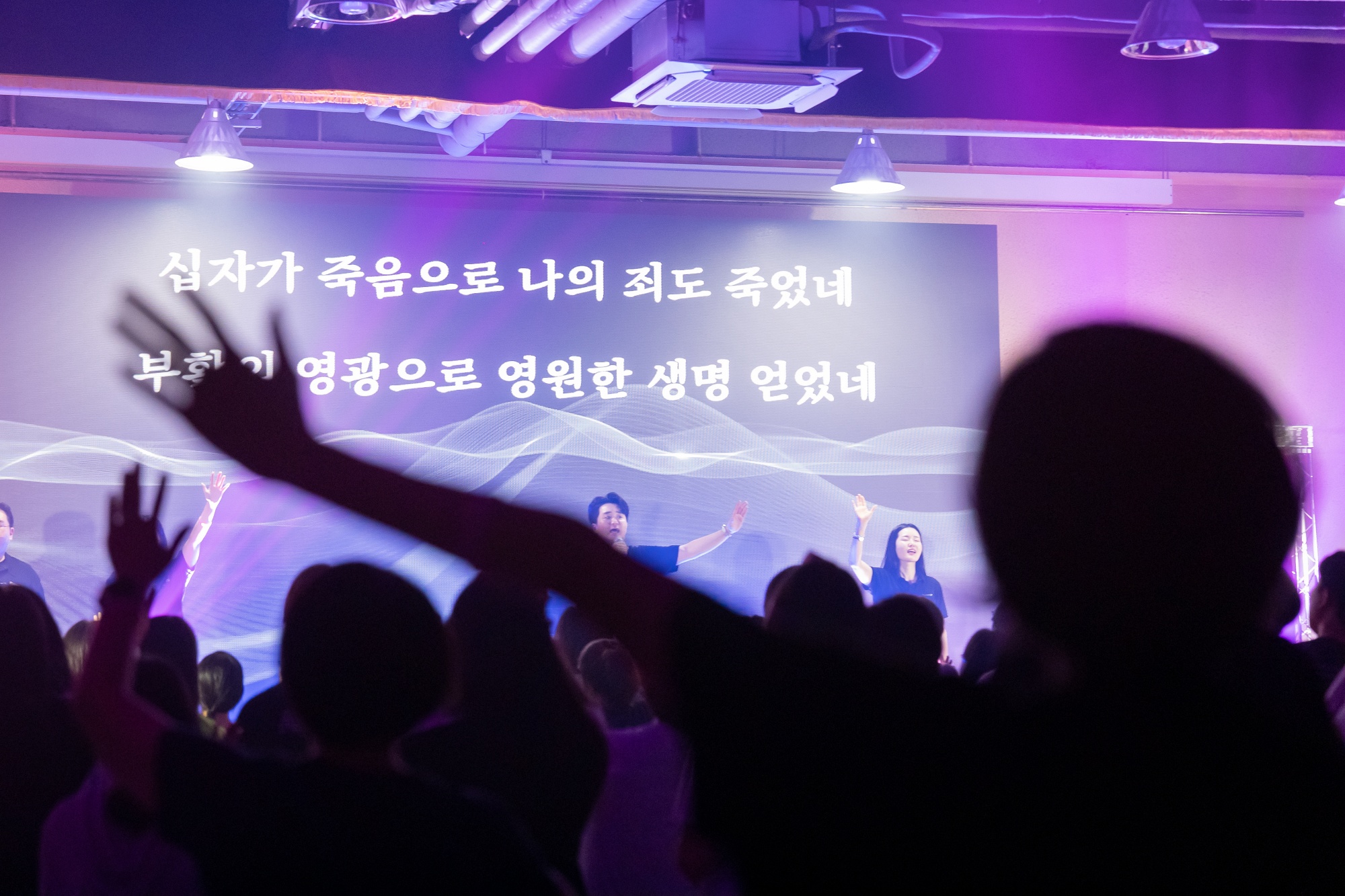 KUM03190-477사이즈줄인것.jpg