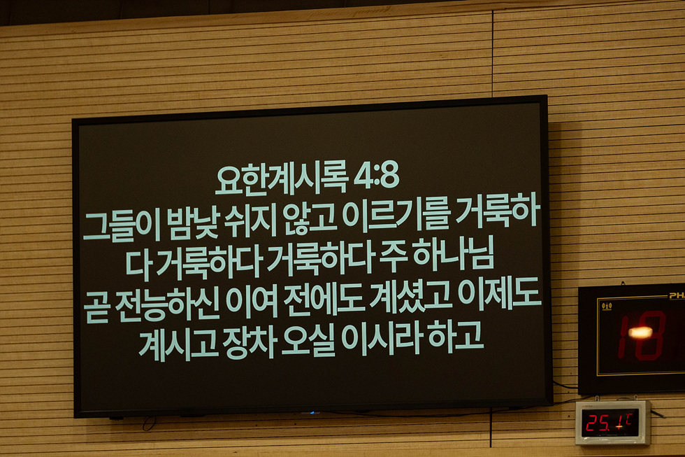 49.jpg