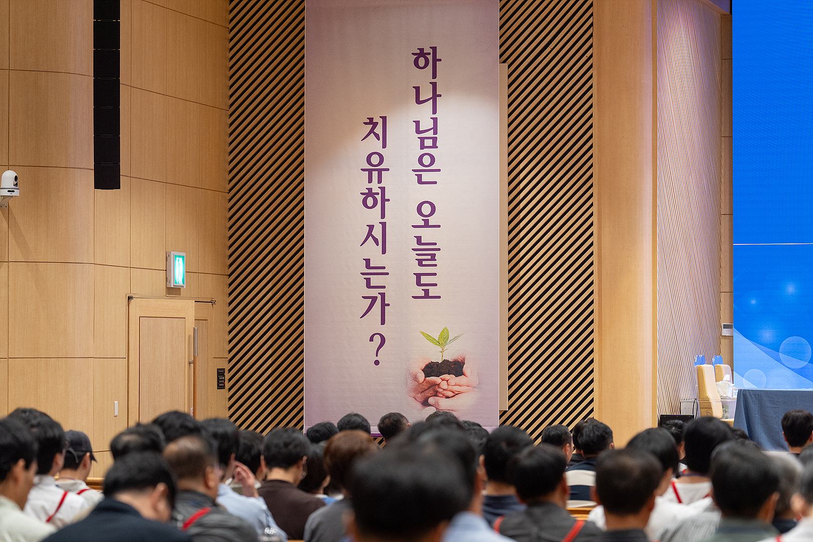 KUM04397.jpg