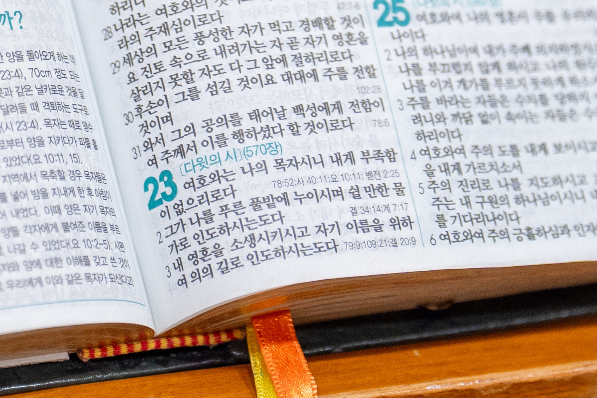 KUM04493크기조절크기조절.jpg